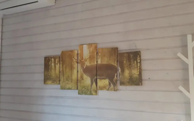 Comfort Sauna 4p in Uelsen