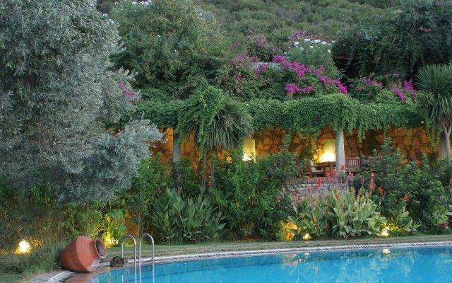 Antik Zeytin Hotel & Art - Boutique Class