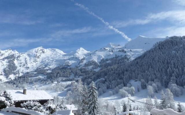 Appartement La Clusaz, 4 pièces, 8 personnes - FR-1-437-18