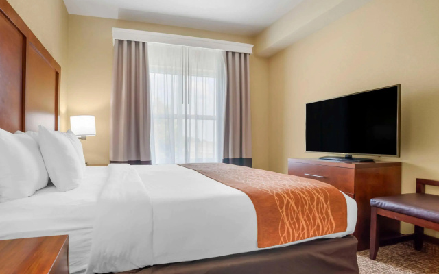 Comfort Inn & Suites Daphne Spanish Fort - Mobile East