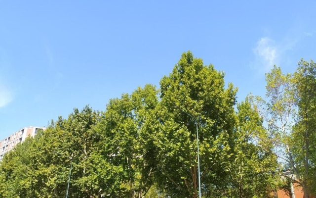 Golden Bed Home - Feel Like Home