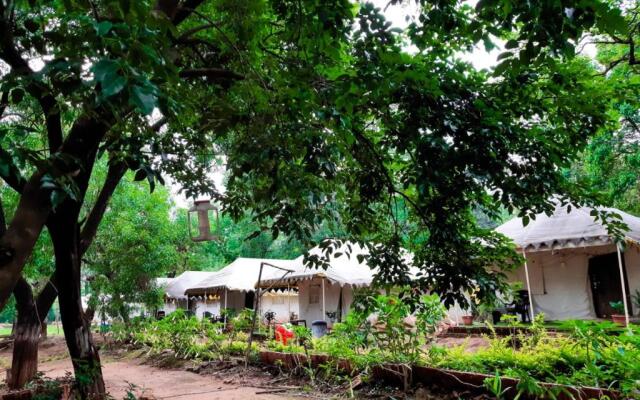 Satpura Adventure Resort & Camping