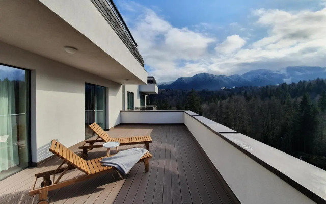 Silver Fox Residence