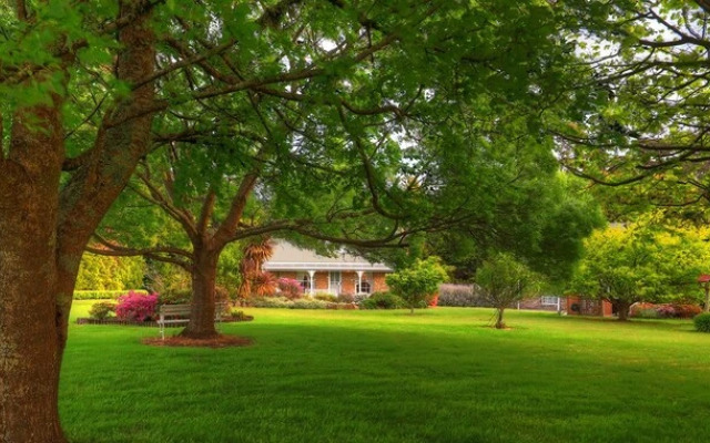 Rosebank Cottage Collection