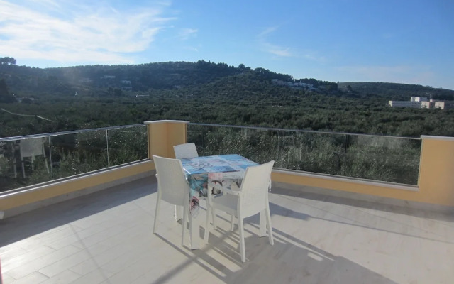 Villa Elisa