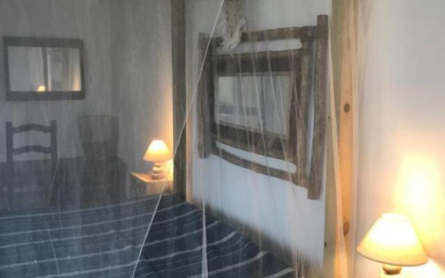 LES ALOÈS By CREYOL ANIMAL