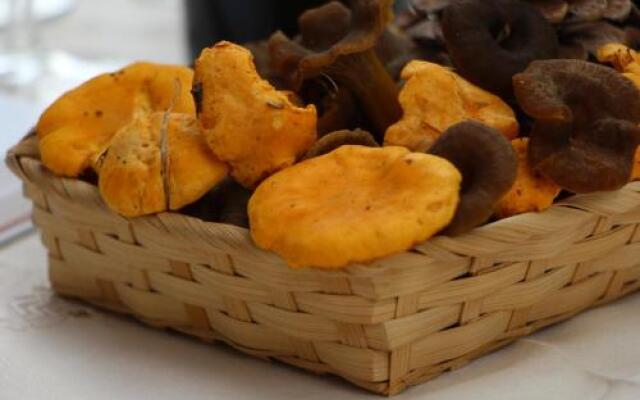 Casa Pioncla Apartments