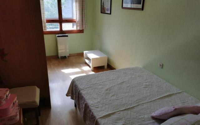 Apartamento céntrico, destino Sallent de Gallego