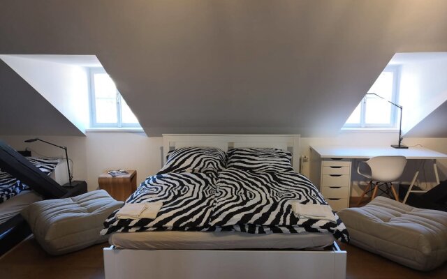 Prague Castle View Apartment