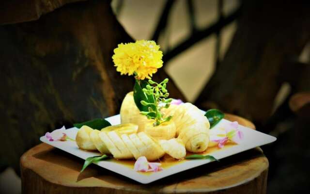 Magical Tented Lodge in Yala- Thissamaharamaya