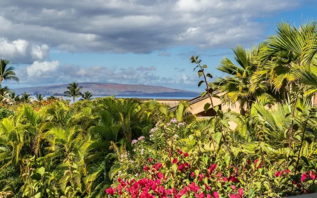 Wailea Ekahi 40E