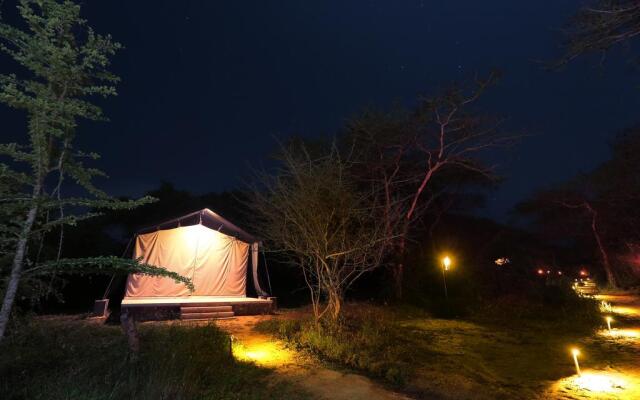 Wilpattu Safari Camp - Campground