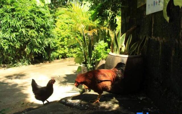 Yinzhuo life Meisu(Weizhou Islan Shell Beach store）