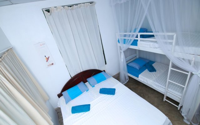 Bluefin Adventure - Hostel