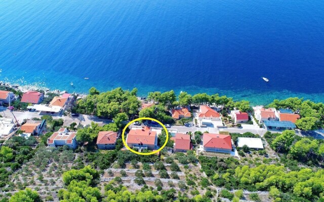 Seaside Apartments Markota