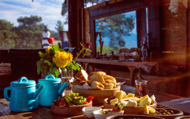 Prima Donna - Adults Only