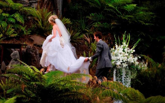 Treetops Lodge & Estate