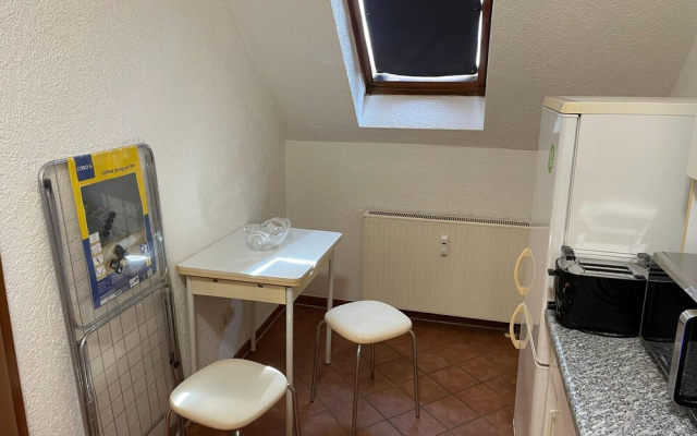 Terrace Apartment Saxony
