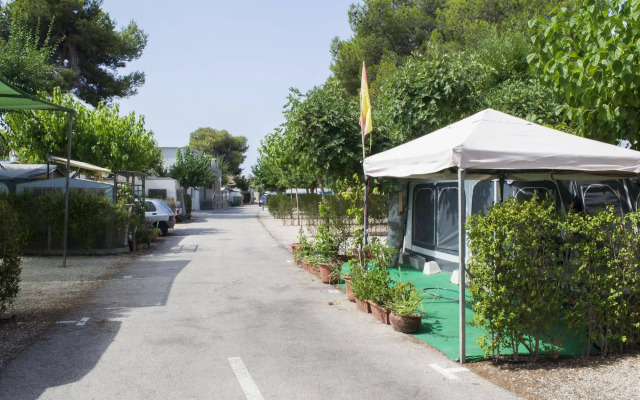 Camping Arena Blanca
