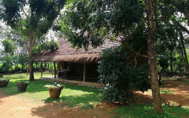 Ama Villa Homestay
