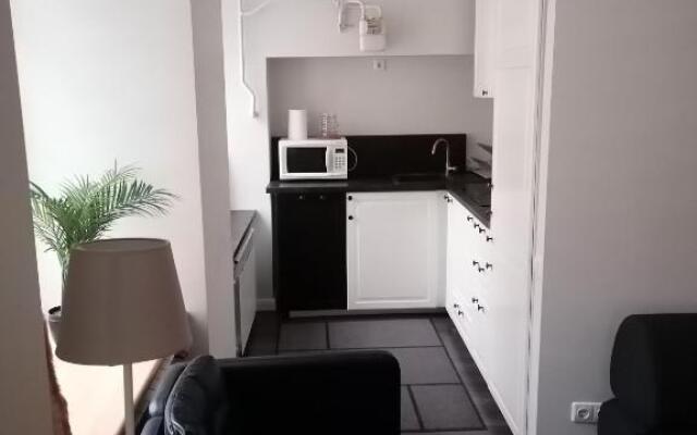 Vilnius city center apartment