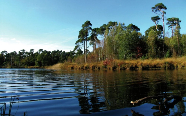 Furnished Chalet Located near Oisterwijkse Vennen