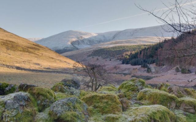 Holiday Home Coldburn