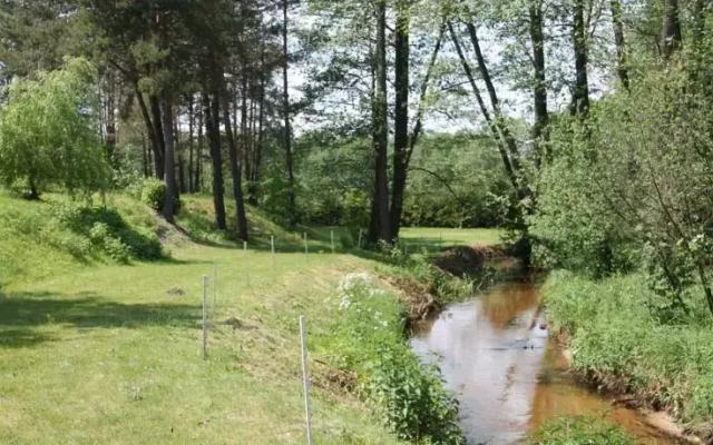 Dom nad Tanwią