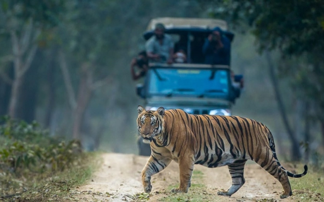 Kabini River Lodge by Jungle Lodges