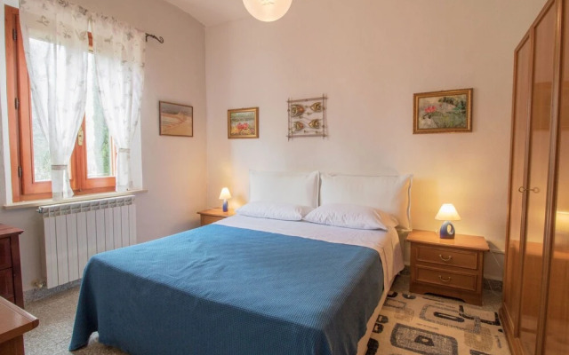 Olimpia Vaiano in Vaiano