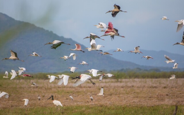 Rancho Humo Estancia