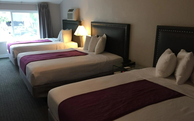 Hotel Iris - San Diego
