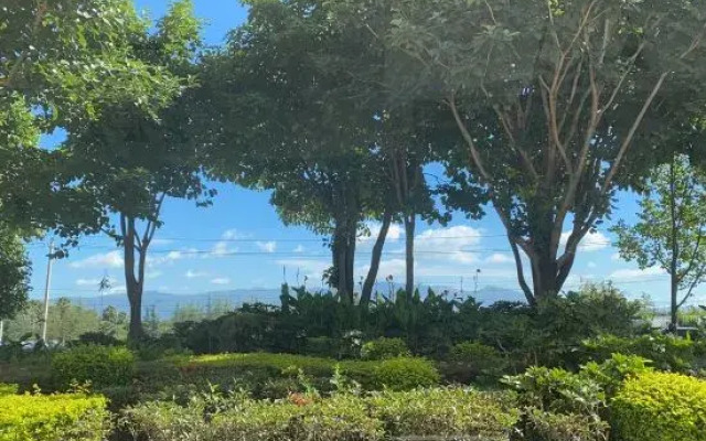 Dali Adore guest house