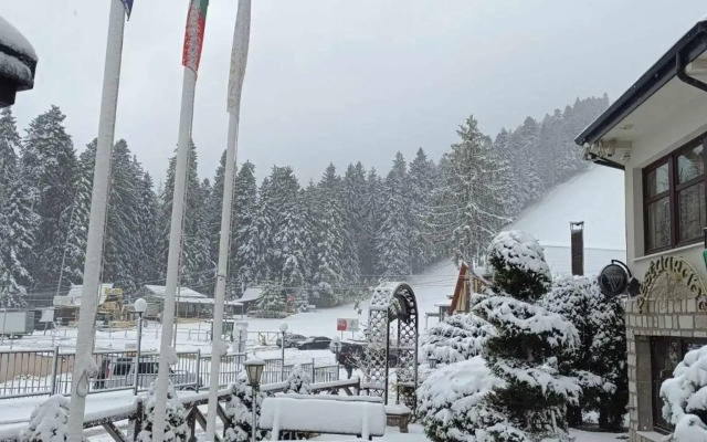 Villa Alpin