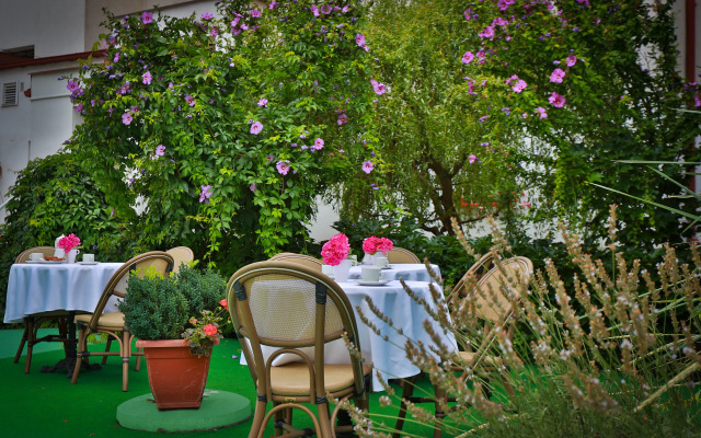 Hotel Marketa