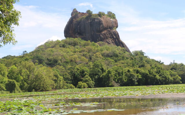 Sigiriya Jungles