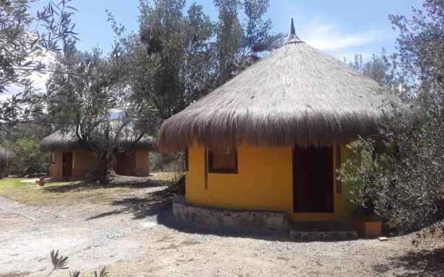 Habitación 2 camas RNT85322 Desayunos incluidos