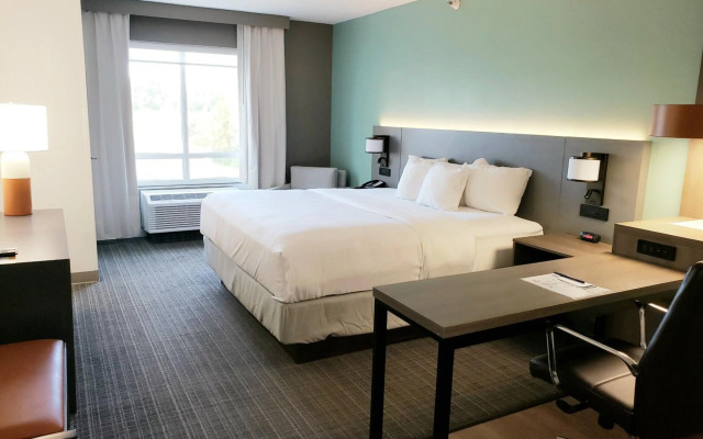 Comfort Suites Valdosta Mall Area