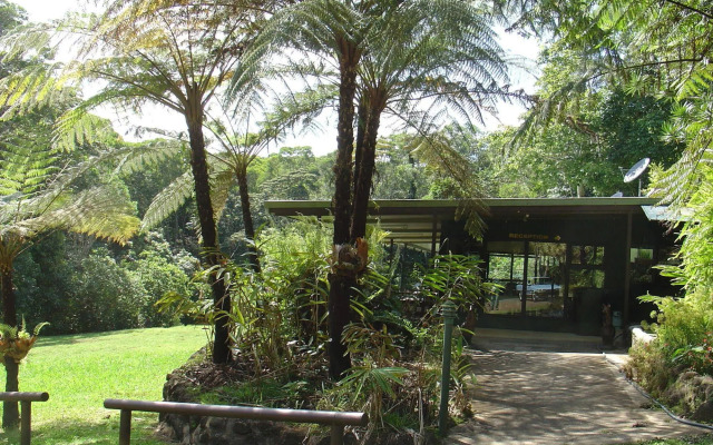 Chambers Wildlife Rainforest Lodges