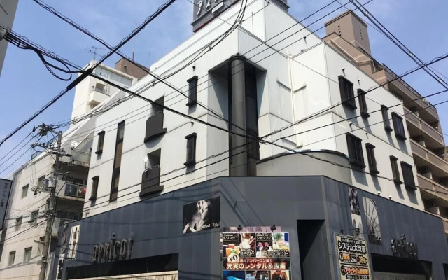 Apricot - Adults only