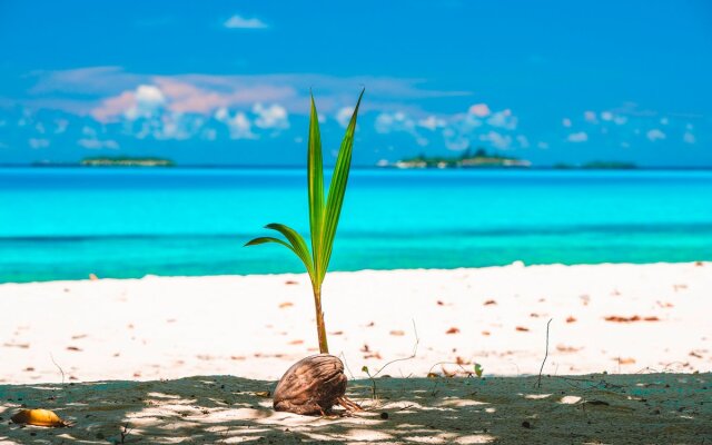 Dhiguveli Maldives