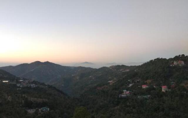 Orchid kasauli