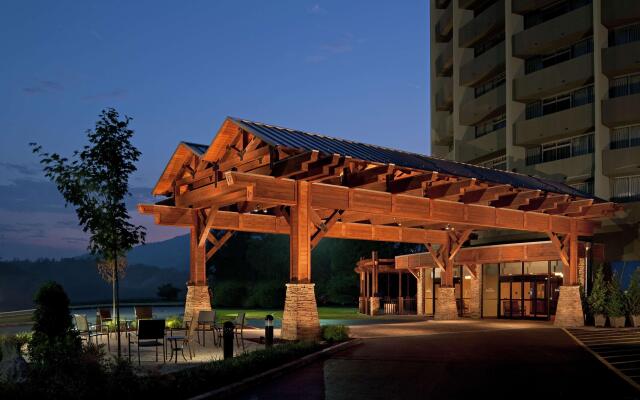 The Park Vista - a DoubleTree by Hilton Hotel - Gatlinburg