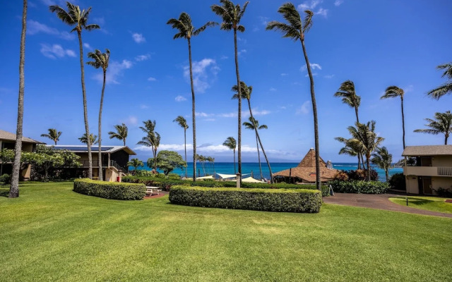 Napili Shores G258 Studio Condo Condo