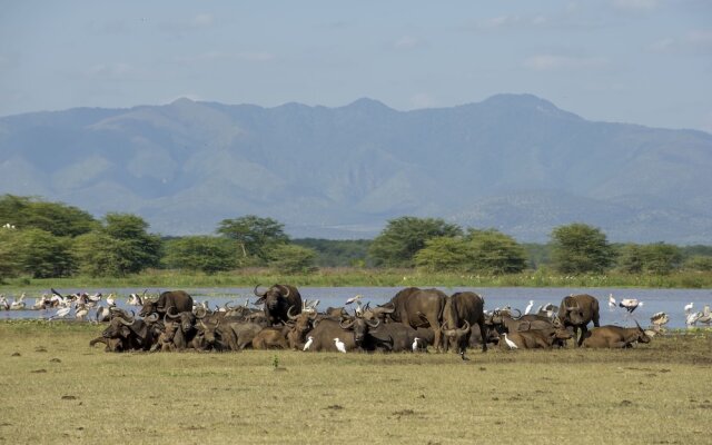 Lake Manyara Serena Safari