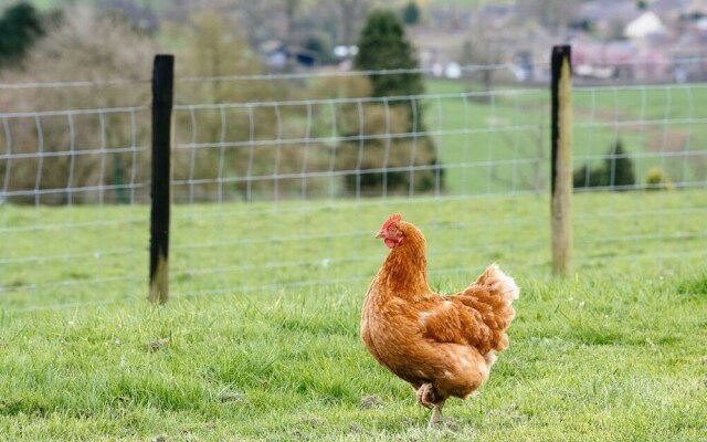 Bondcroft Farm
