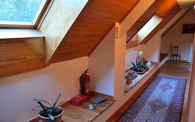 B&B Wepa-hof