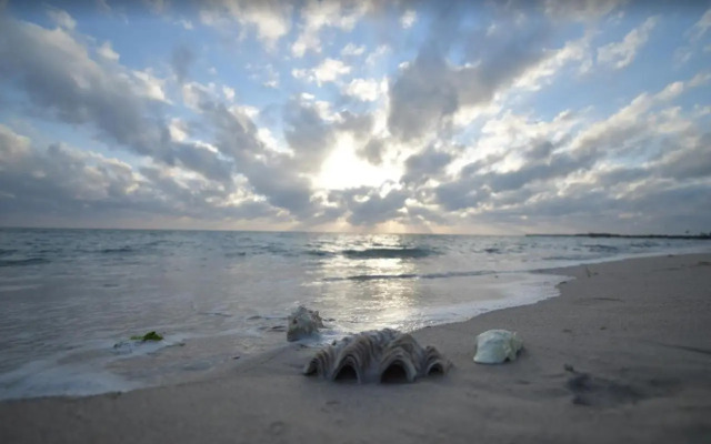 Kilwa Beach Lodge
