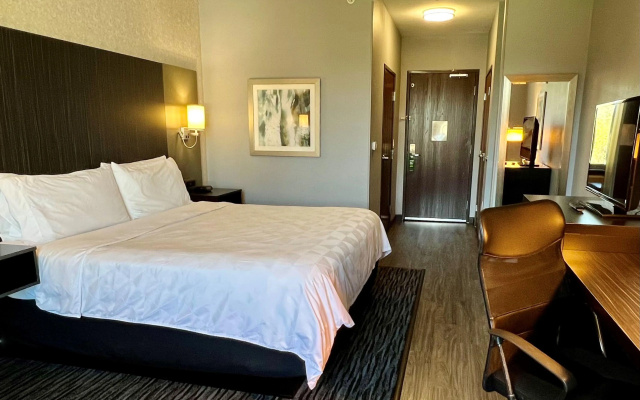 Holiday Inn Carlsbad by IHG