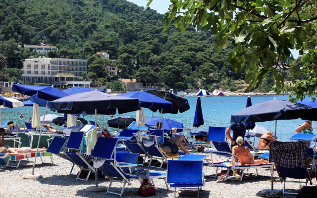 Apartments by the sea Dubrovnik - 18977